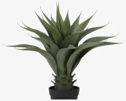 Agave Kunstig H.56 cm