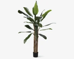 Banana Kunstigt Træ H.180 cm