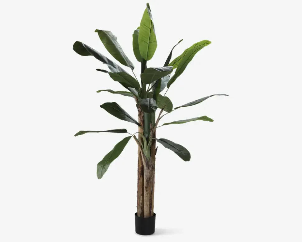 Banana Kunstigt Træ H.180 cm