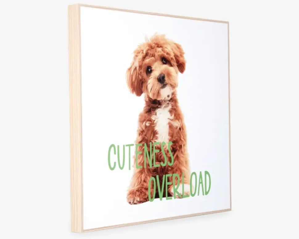 Billede puppy - Cuteness overload