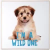 Billede puppy - I am a wild one