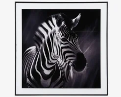 Billede zebra i ramme 50x50 cm