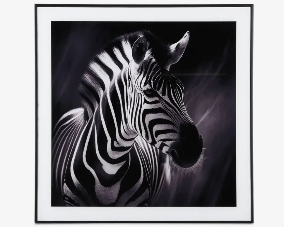 Billede zebra i ramme 50x50 cm