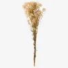 Buket Tørret Gypsophila Hvid