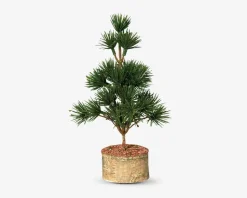 Cedertræ m/fod plastik H.22 cm