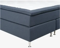 Continentalseng Terni