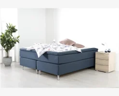 Continentalseng Terni