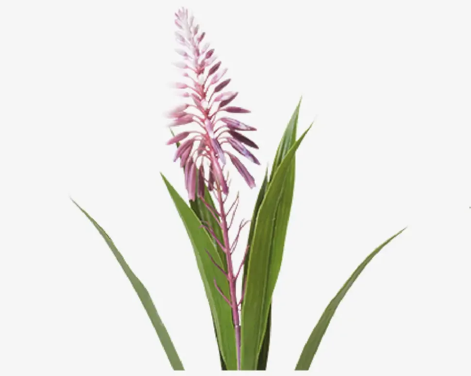 Hyacint Potte Ass H.35 cm