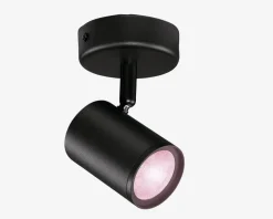 Imageo Wiz Spot Sort M. Farver