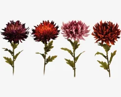 Krysantemum stilk ass 18x18x62 cm