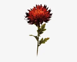 Krysantemum stilk ass 18x18x62 cm