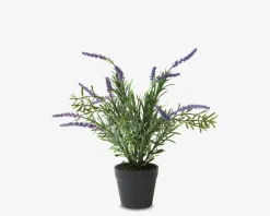 Lavendel Potte Plastik H.30 cm