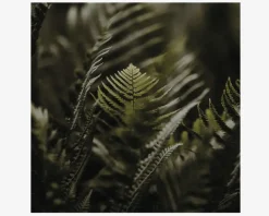 Metal Billede Grønne Planter 40 x 40 cm