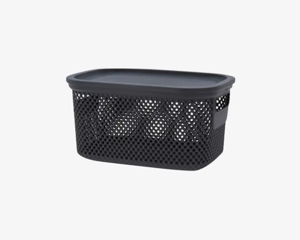 Opbevaringsboks Med Låg Ass H.12 cm