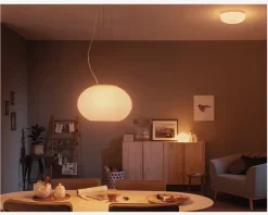 Philips Hue Pendel Flourish Ø.40,1cm