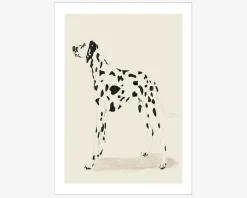 Plakat Jenny Liz Dalmation