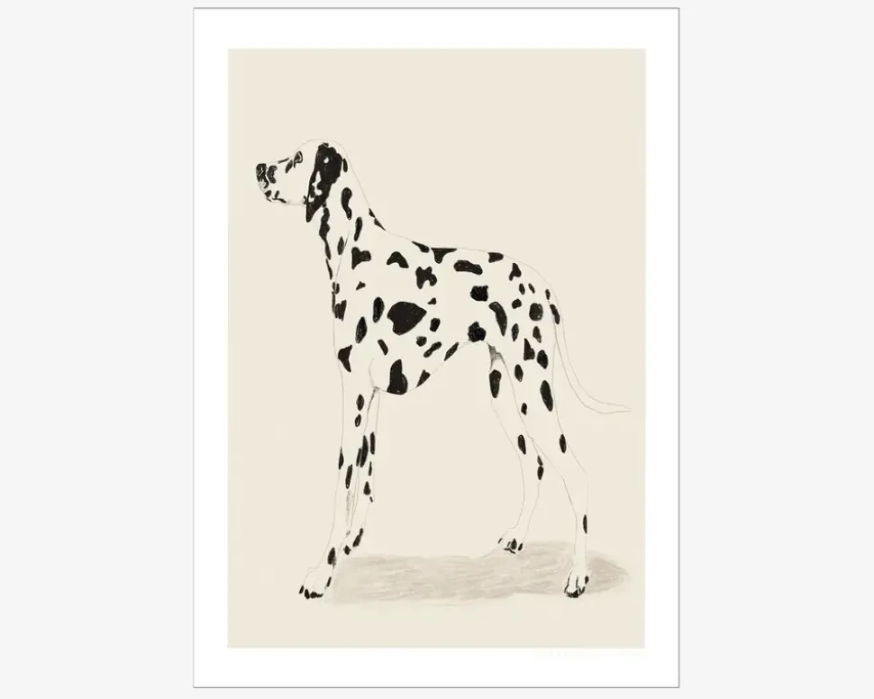 Plakat Jenny Liz Dalmation