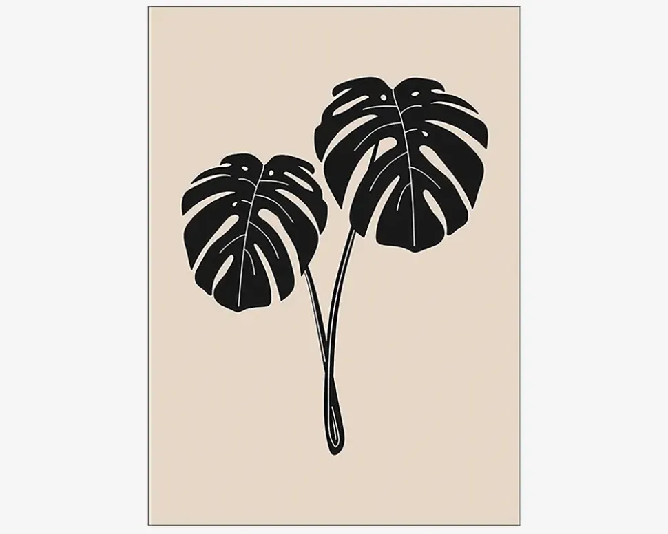 Plakat Monstera Deliciosa