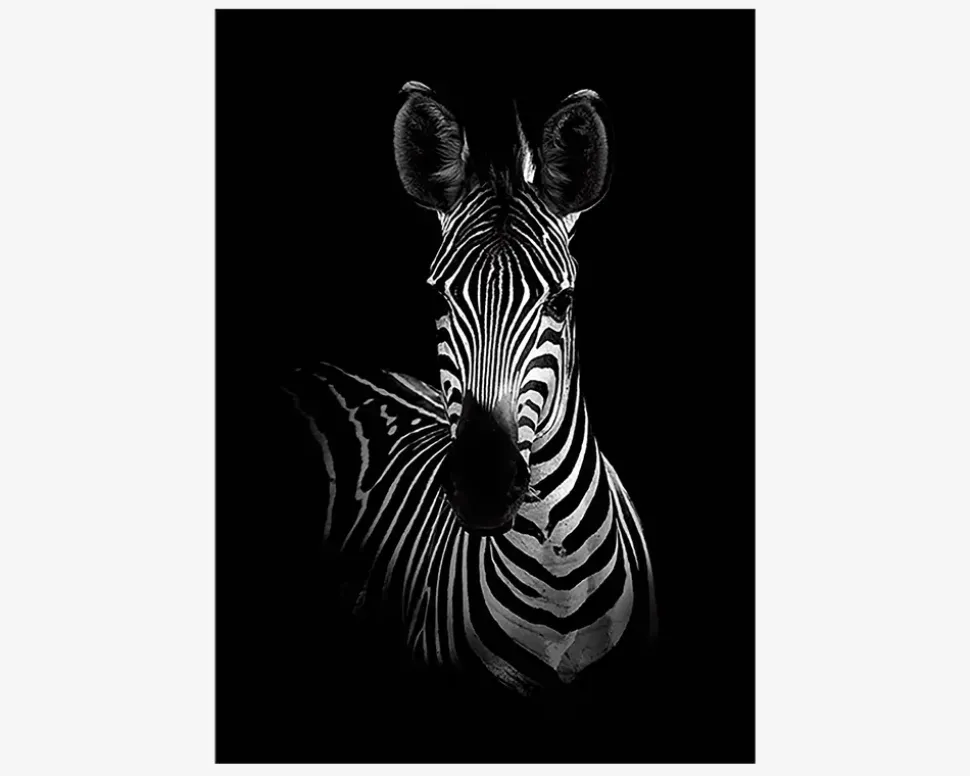Plakat The Zebra