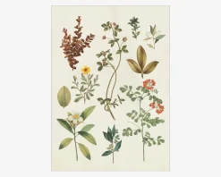 Plakat Victorian Garden III A5