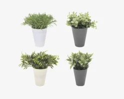 Plante i potte ass H.24 cm