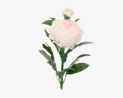 Pæon stilk ass 17x17x61 cm