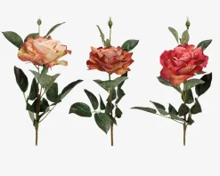 Rose stilk ass 10x10x59 cm