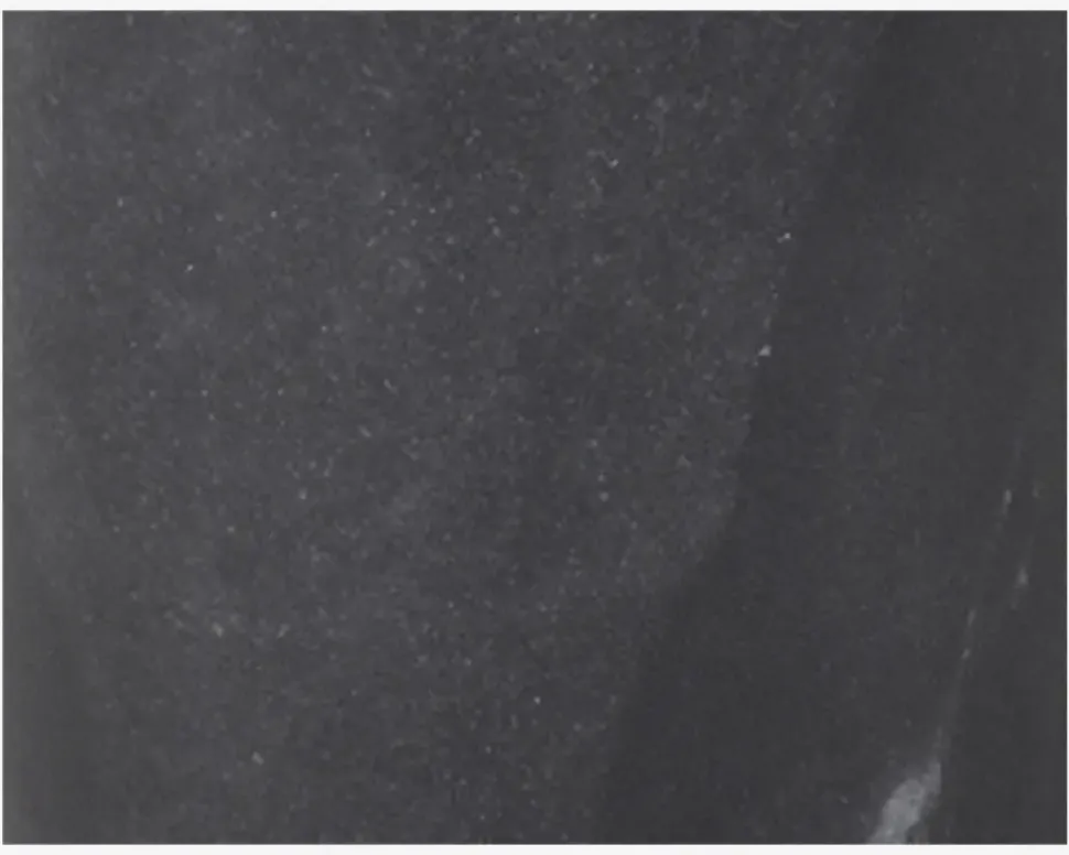 Sæbedispenser Marmor Sort