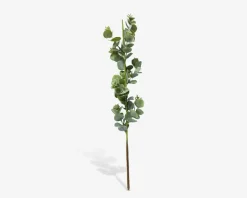 Stilk Eukalyptus Grøn H.38 cm