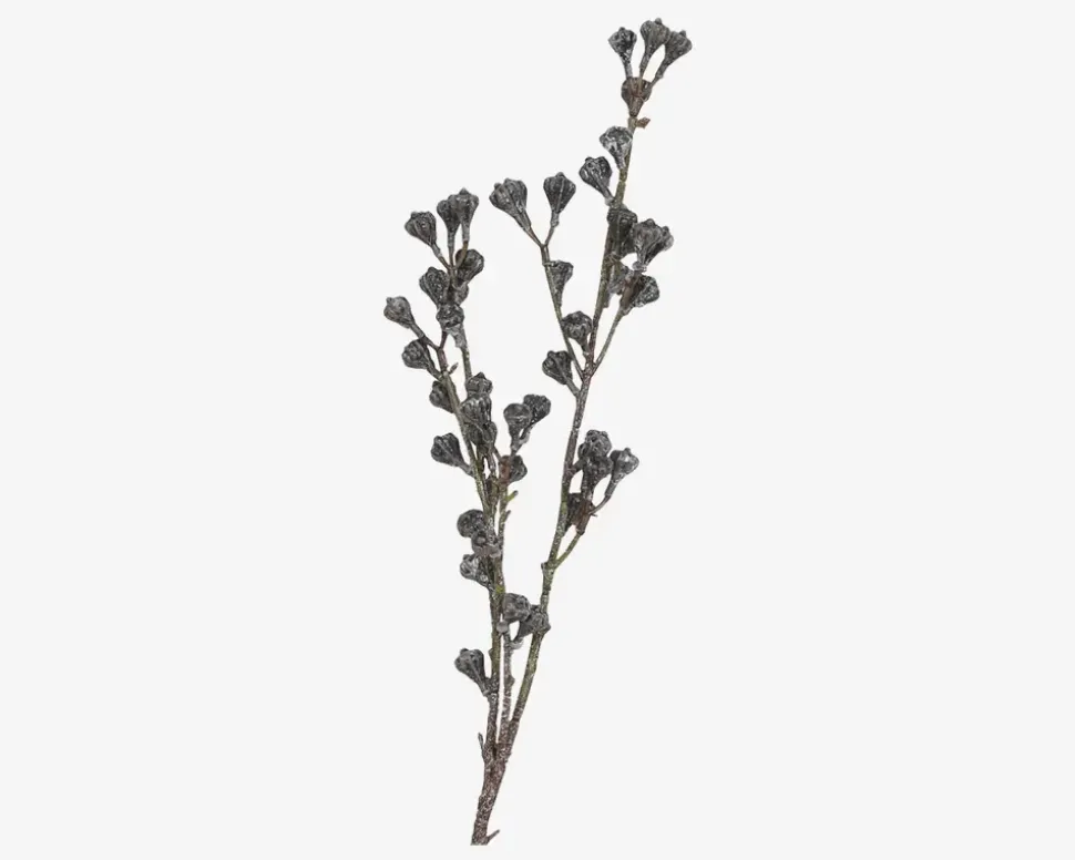 Stilk Gren M.Bær Brun H.85cm