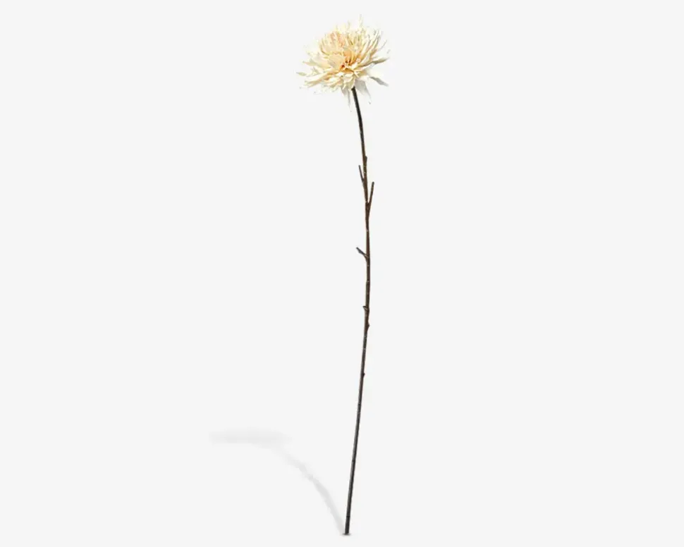 Stilk Krysantemum Hvid H.75 cm