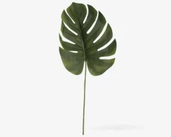 Stilk Monstera grøn H.61 cm