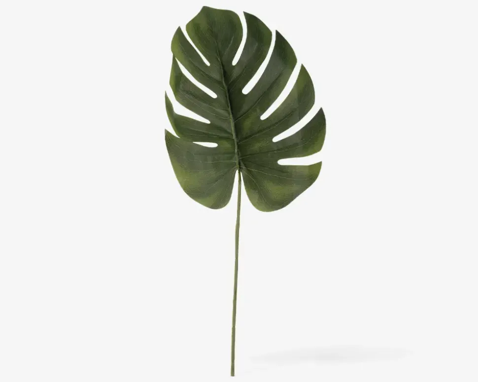 Stilk Monstera grøn H.61 cm