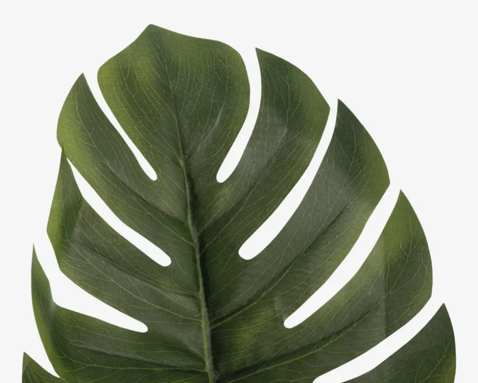 Stilk Monstera grøn H.61 cm