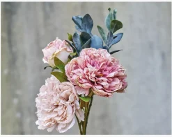 Stilk Pæon Rosa H.30 cm