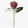 Stilk Protea Lyserød H.42 cm