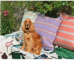 Udendørs Pude Lilla/Orange