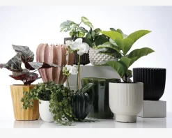 Urtepotteskjuler Nobel mat sort 17x18 cm