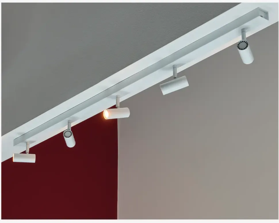 Væg-/loftlampe Omari 5 Hvid